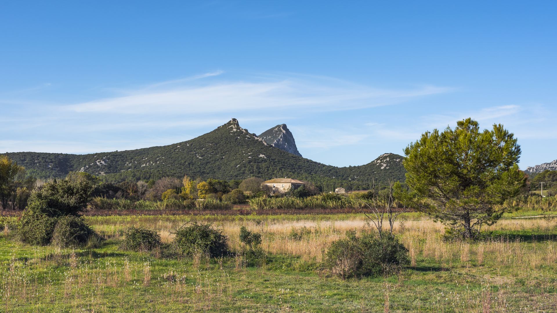 Vitrier Saint-Clément-de-Rivière Urgence